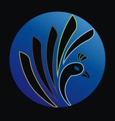 Investment Advisory Services for&nbsp;Dentists